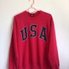 Vintage USA sweatshirt ER