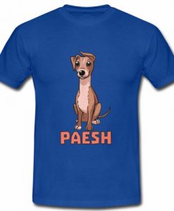 Paesh T-Shirt N8EL