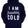 freaking cold hoodie N21RS