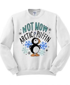 Not Now Arctic Puffin Sweatshirt FD3D