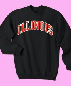 Illinois Sweatshirt DF24M0